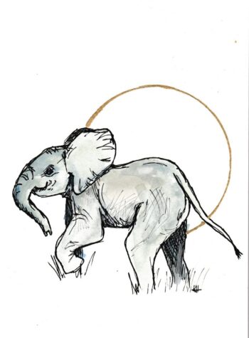 Baby Elephant Original