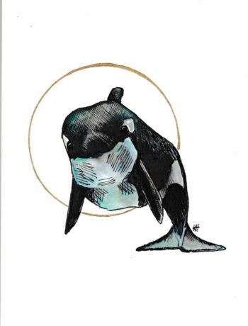 Baby Orca Original