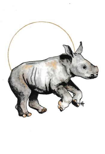 Baby Rhino Original