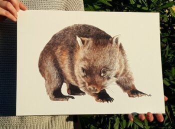 Wombat - Image 3