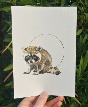 Baby Raccoon Original