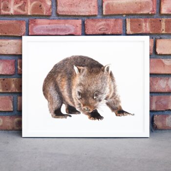 Wombat