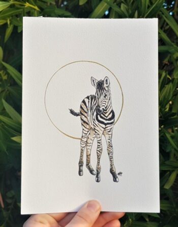 Baby Zebra Original