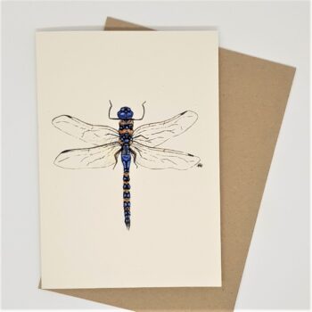 Dragonfly, Greeting Card