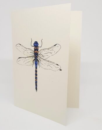 Dragonfly, Greeting Card - Image 2