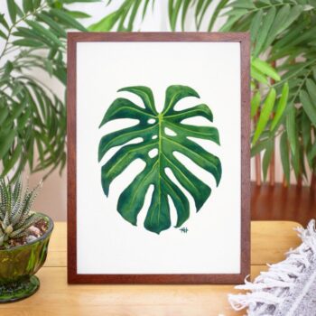 Monstera Leaf