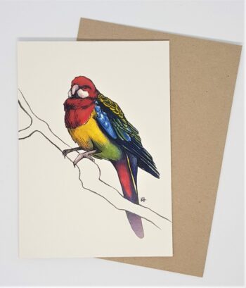 Rosella, Greeting Card