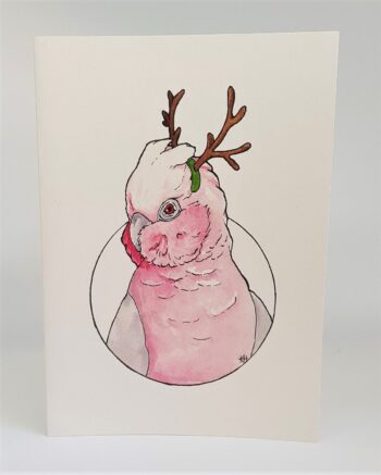 Festive Cockatoo Bundle, 5 Pack - Image 6