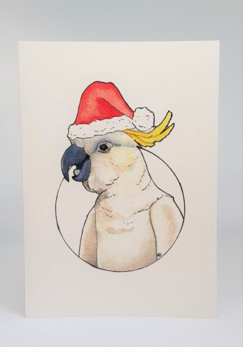 Festive Cockatoo Bundle, 5 Pack - Image 3