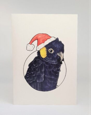 Festive Cockatoo Bundle, 5 Pack - Image 5